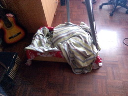 IMG_20151216_122739 (1).jpg IMG_20151216_122739 (1).jpg