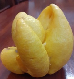 20210319_115146.jpg 20210319_115146.jpg