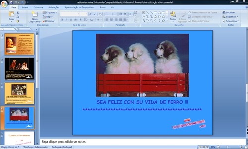 apresentações powerpoint