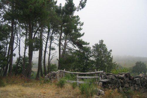 Coimbró