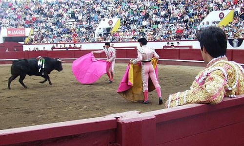 Num momento mais pausado da sua última lide...