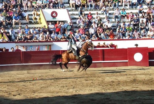 Rui Fernandes não esteve muito feliz nesta tarde de São João...
