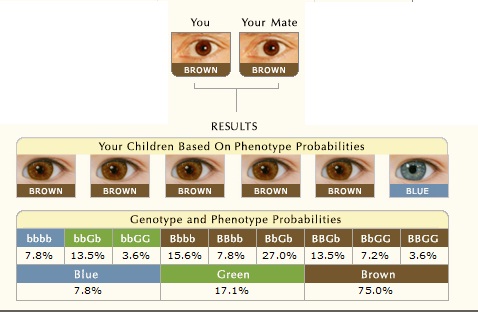 У кареглазых родителей родился голубоглазый ребенок молодые. Какие глаза будут у ребенка. Наследование цвета глаз у человека таблица. Таблица цветов глаз родителей и детей. Цвет глаз у ребёнка от родителей таблица.