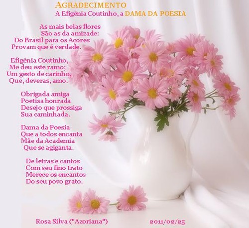 Flores recebidas da poetisa Efigênia Coutinho