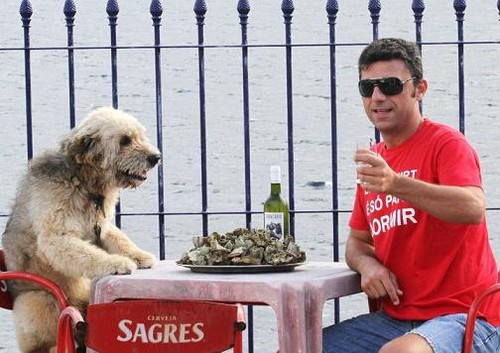 O Piloto, o RL, as cracas e o Donatário...