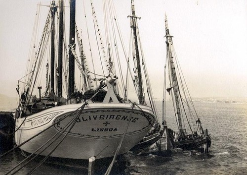 Documentário relata a vida dos portugueses na pesca do bacalhau