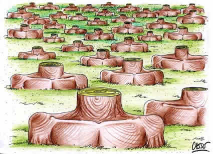 Processos sem sujeitos