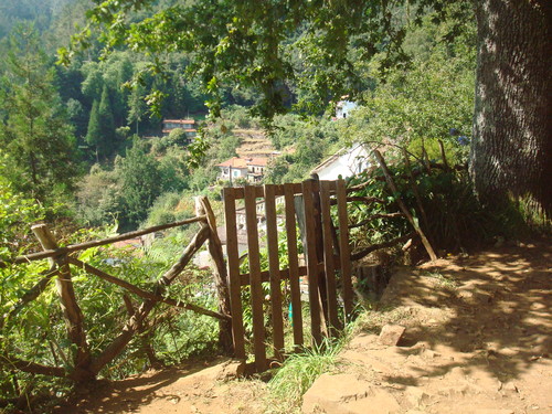 Levada Velha