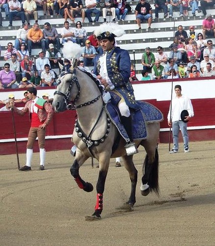 Luís Rouxinol, numa bela entrada em praça...