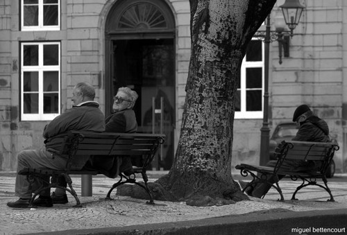 A Praça Velha, como foi até à manhã de ontem...