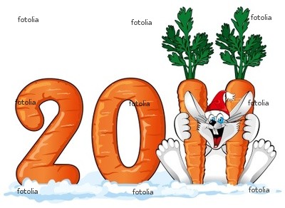 Feliz Ano Novo!