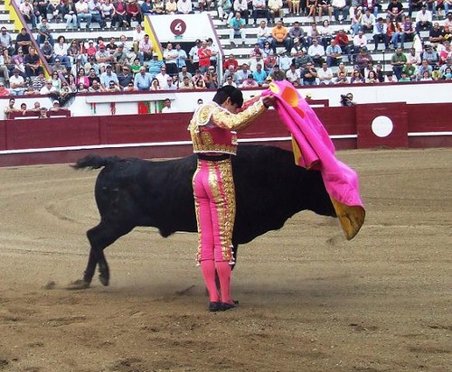 Temple certo e firme de Miguel Angel Perera...