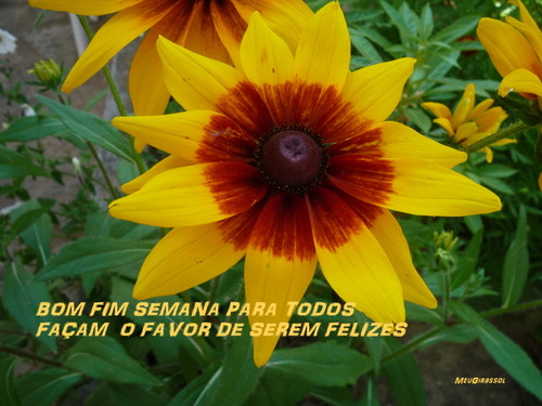 FIM SEMANA À PORTA !!!!!!