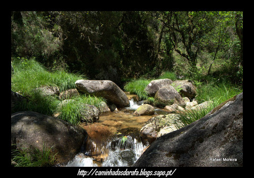 Rio Gerês