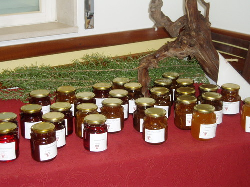 fotos sujeitas a copyright, direitos reservados