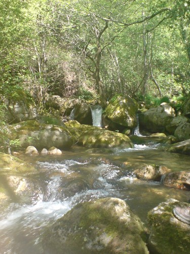 Ribeira de Fervença