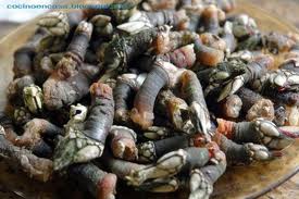 percebes