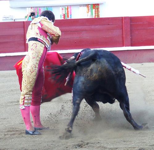 A entrega do toureio em Rubén Pinar...