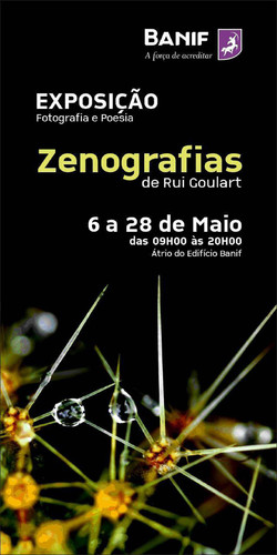 Amanhã, olhares e palavras do Rui Goulart...