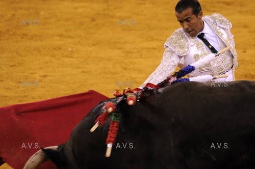 A última faena de José Luís Gonçalves...