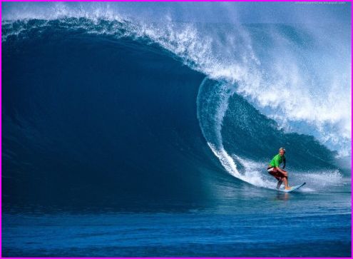 wallpaper surf