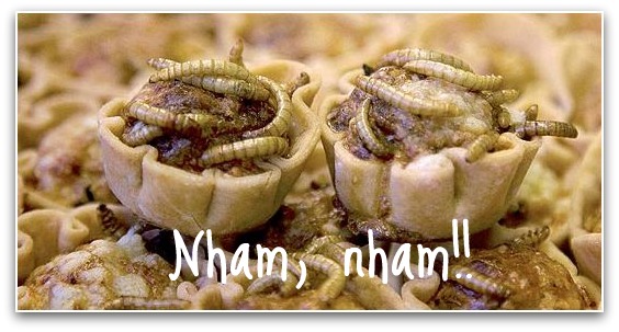 larvas comida insectos