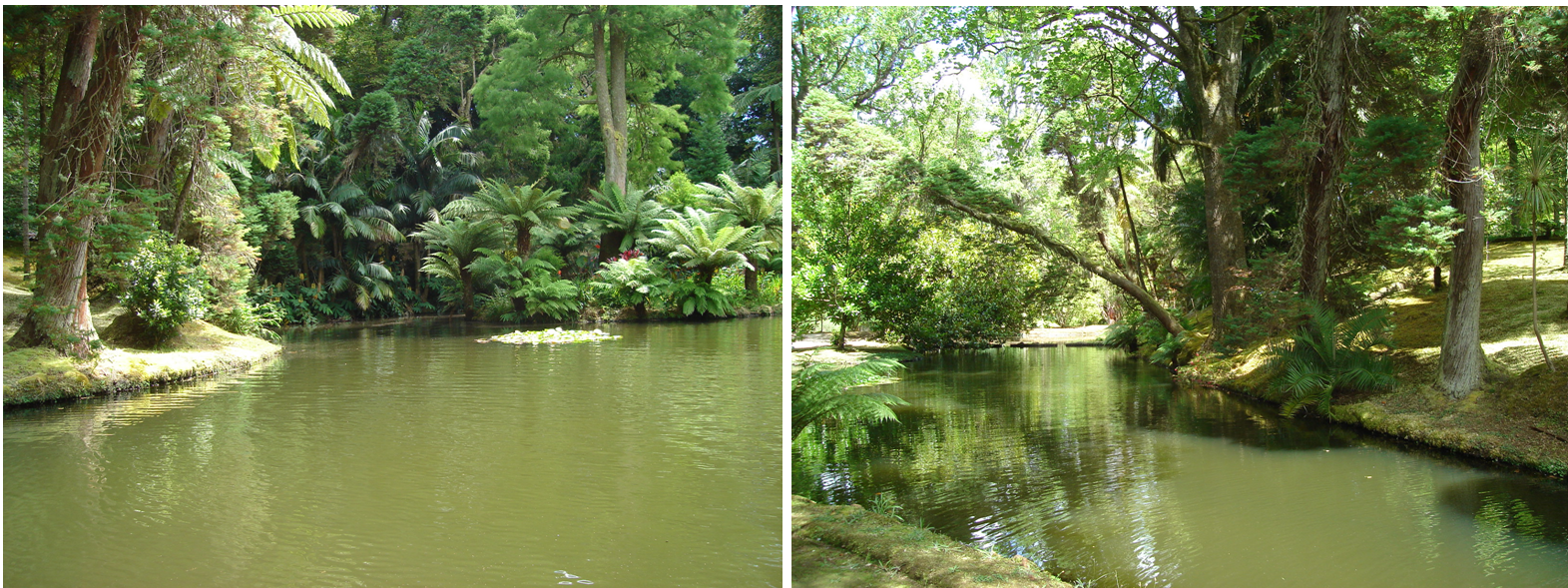 terra nostra.PNG terra nostra.PNG