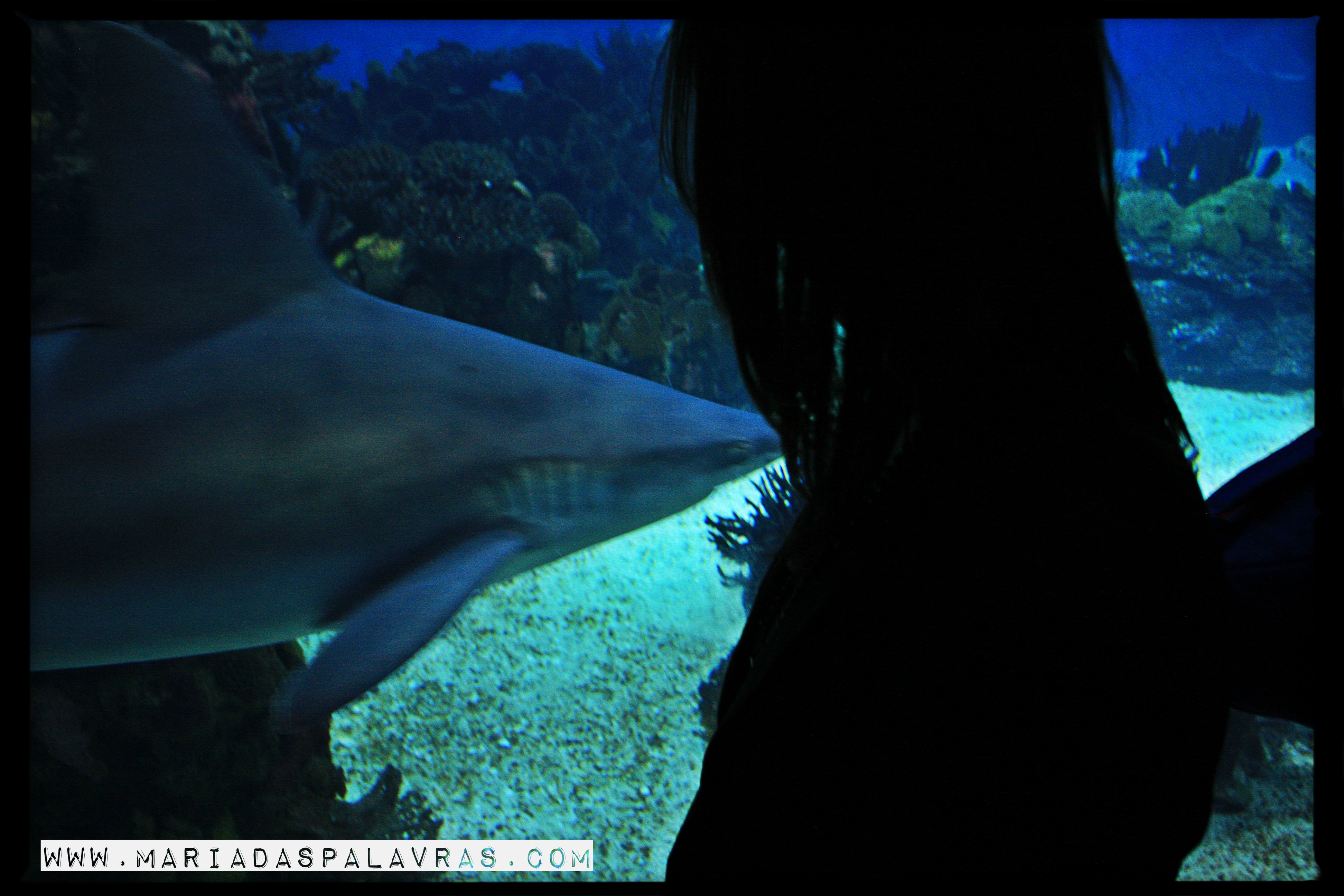 Maria das Palavras no Oceanário