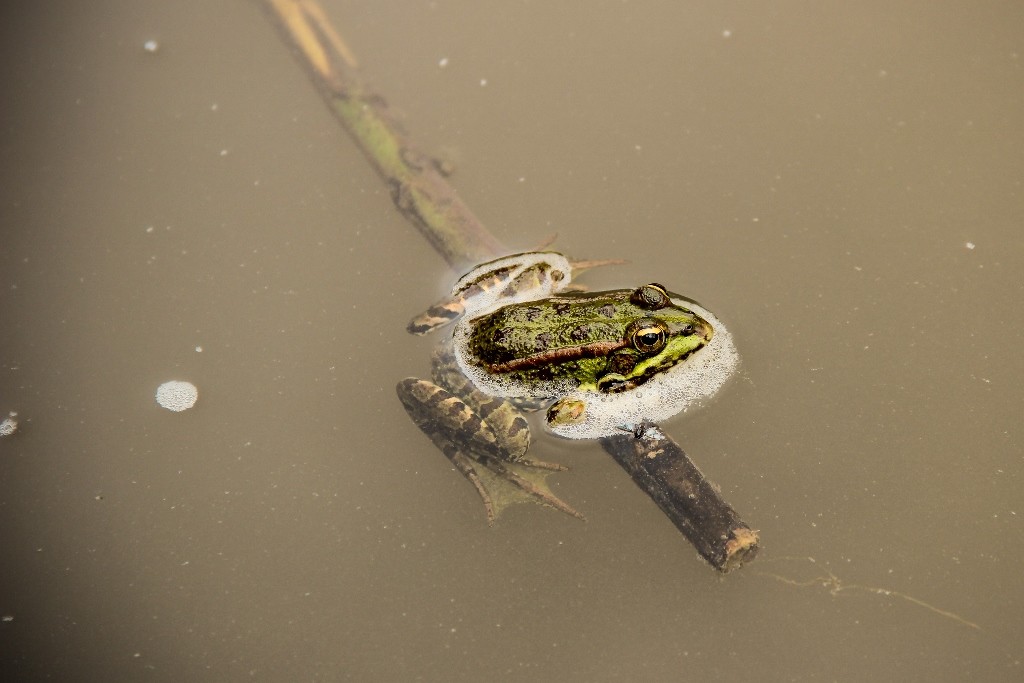 cascatas de mourao a 17