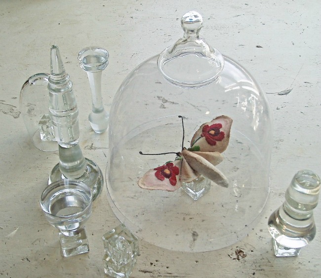 MisterFinch02 by HContadas