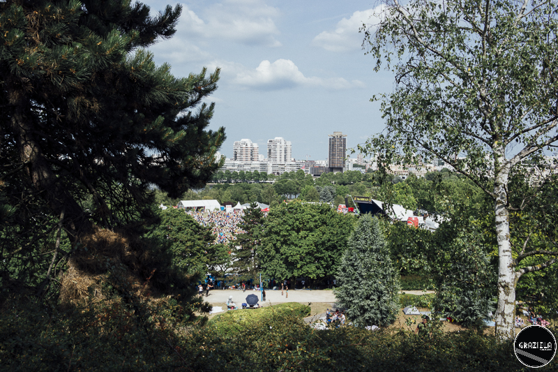 _SAM4909-29.JPG _SAM4909-29.JPG