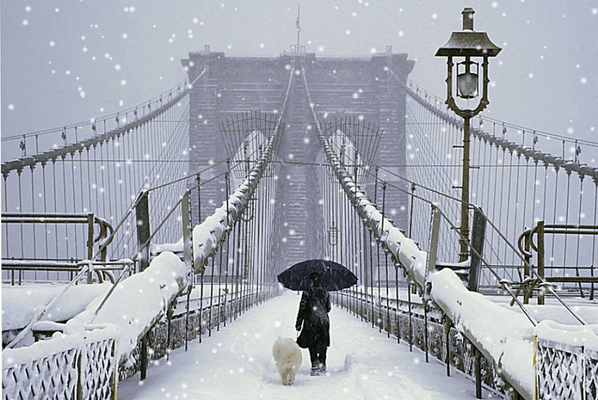 new-york-neve-SNOW.gif