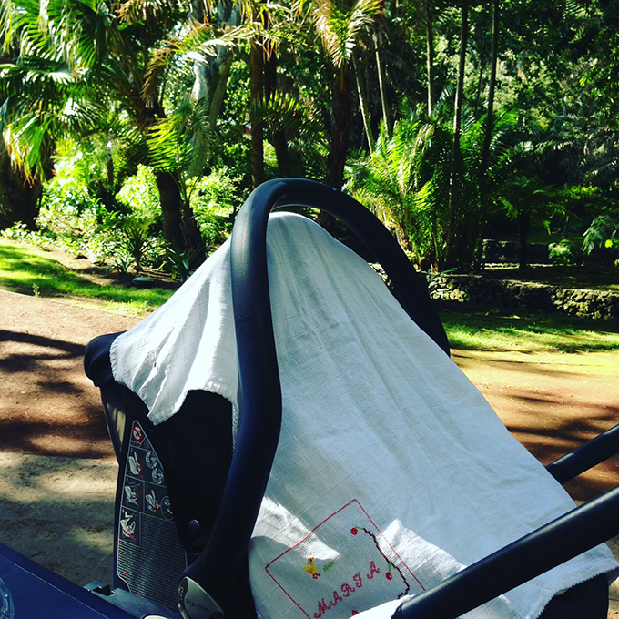 Jardim António Borges