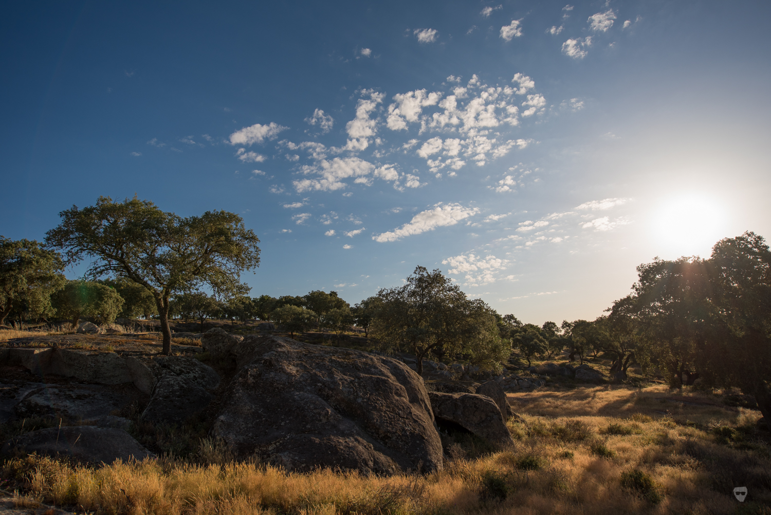 Monte Velho-31.jpg Monte Velho-31.jpg