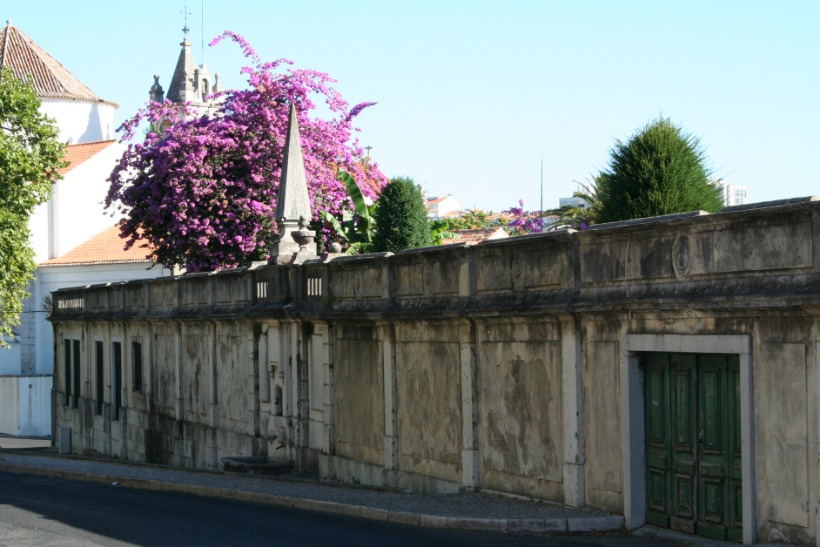 HContadas-Monsanto04