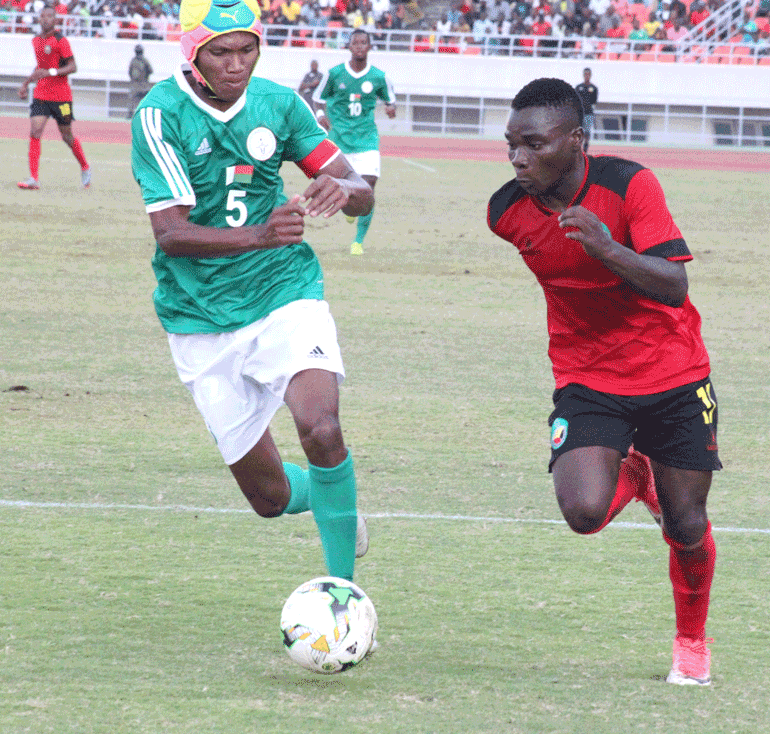 catamo.gif catamo.gif