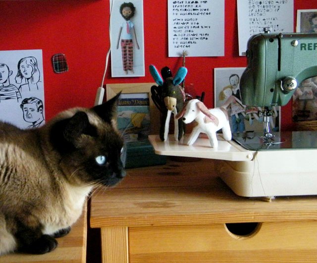 HContadas-MBeldroega12