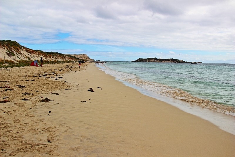 hamelin bay a 17 (800x533)