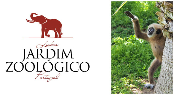 actividades para crianças + jogos em famíla + jardim zoológico de lisboa + programação para crianças no zoo + pequenas crias + programas para o dia da criança actividades para crianças + jogos em famíla + jardim zoológico de lisboa + programação para crianças no zoo + pequenas crias + programas para o dia da criança