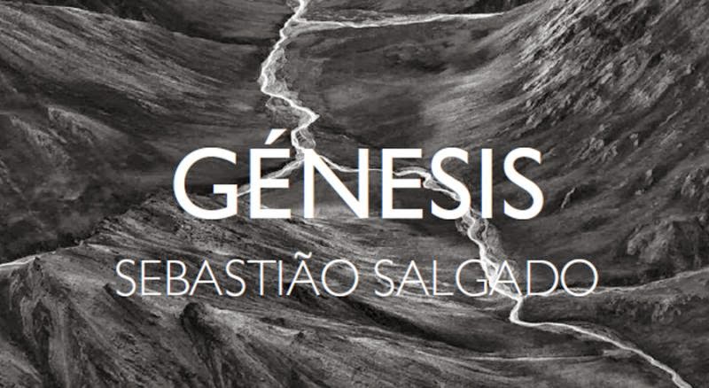 Sebastião salgado 1.jpg