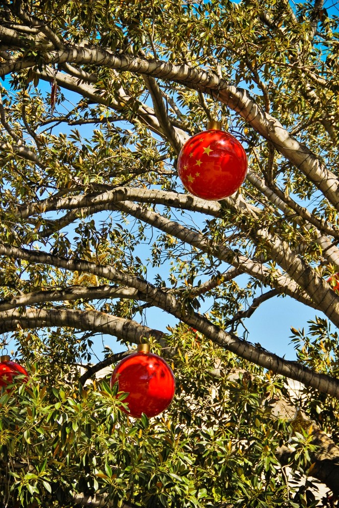 christmas tree fremantle-5 (683x1024)