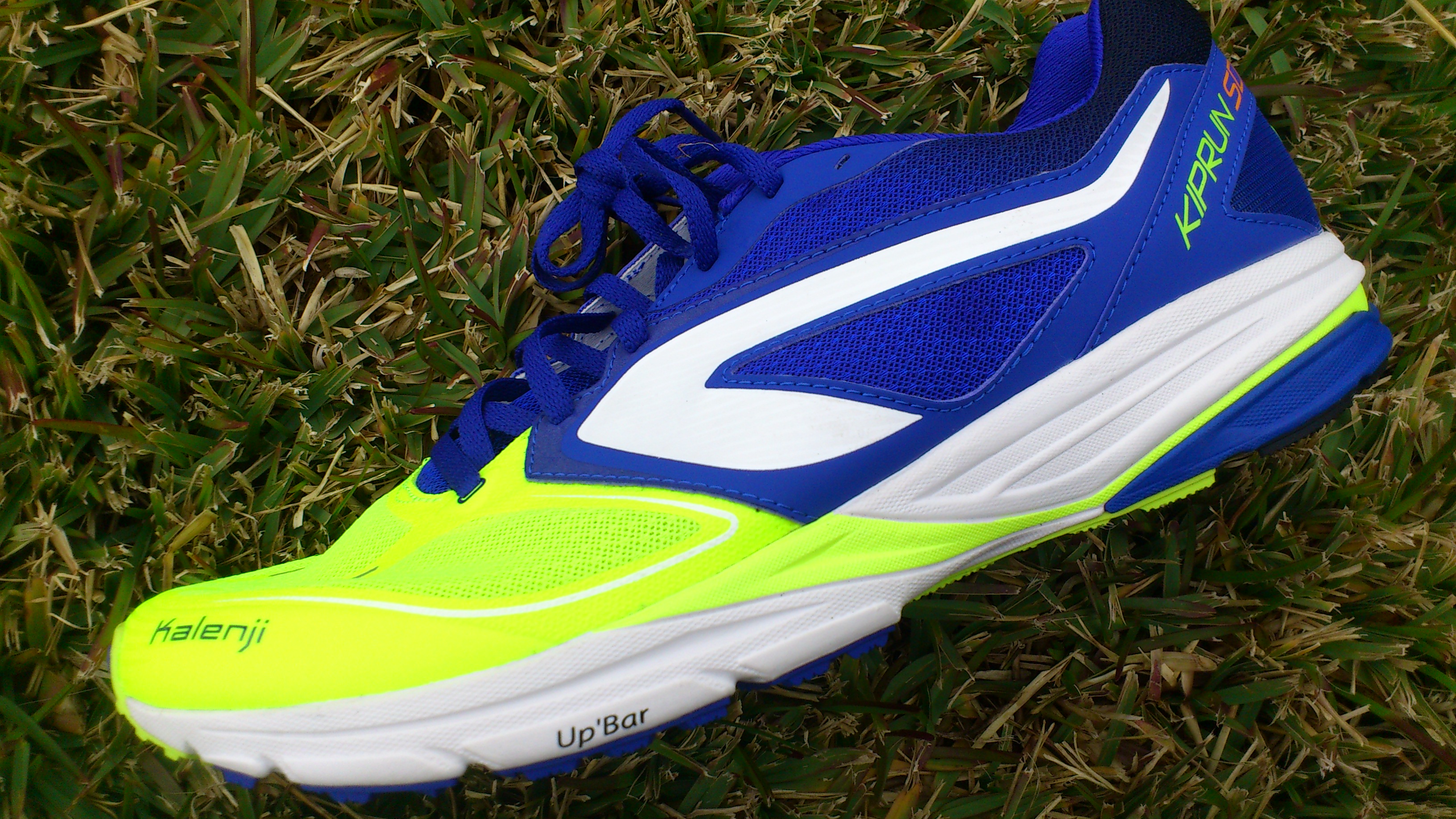 DSC_0371.jpg DSC_0371.jpg