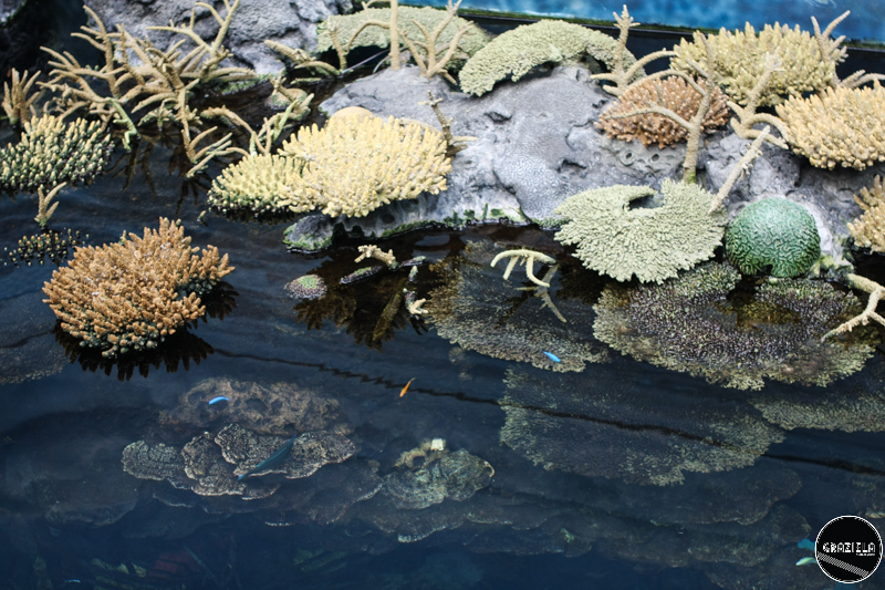 IMG_4690-18.jpg IMG_4690-18.jpg