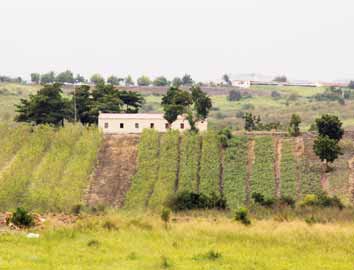 Fotos: Carlos Lousada