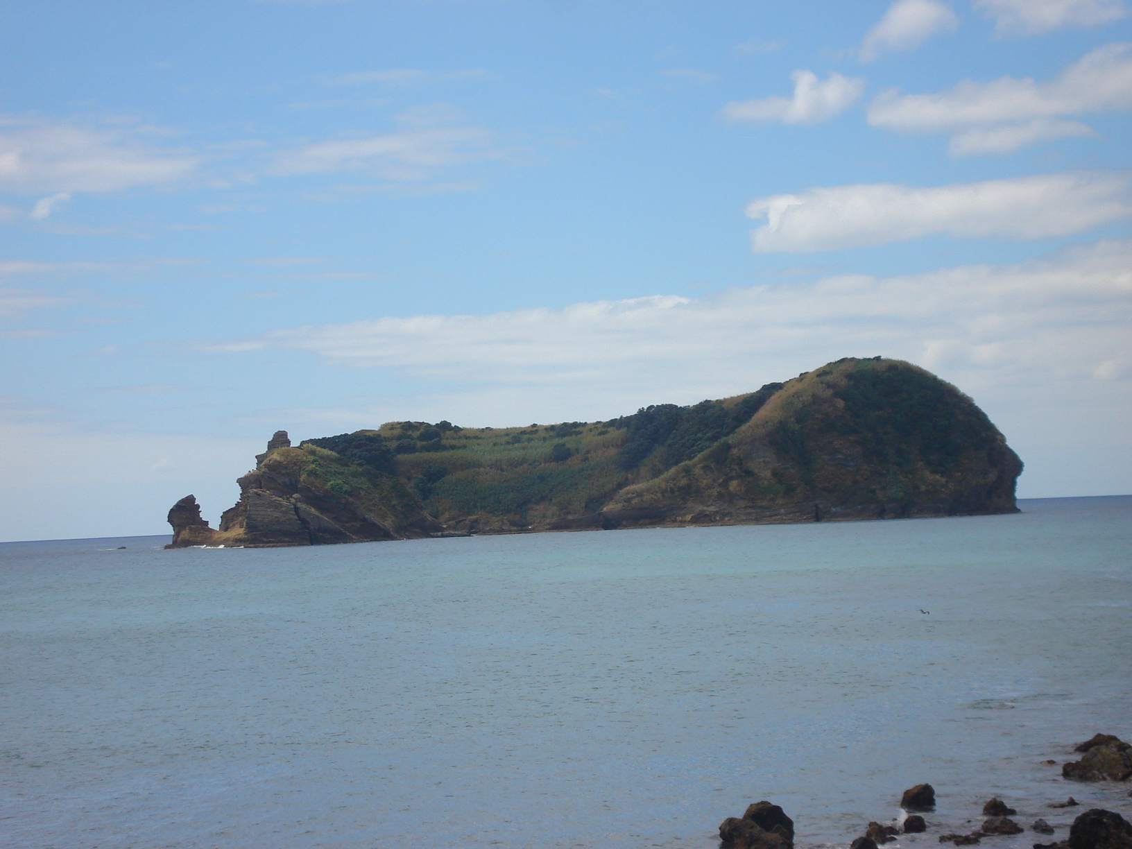 DSC02828.JPG DSC02828.JPG