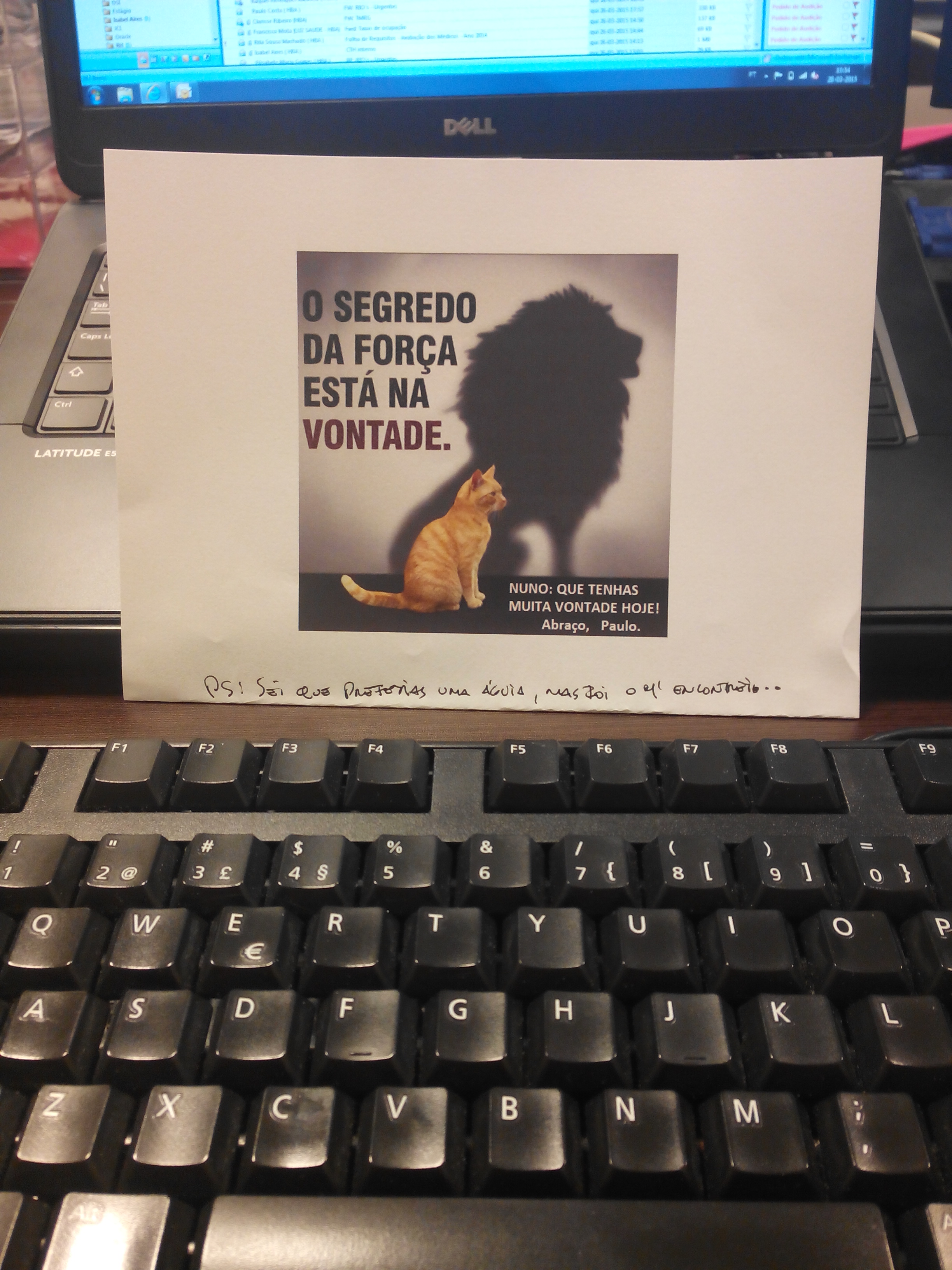 vontade.jpg vontade.jpg