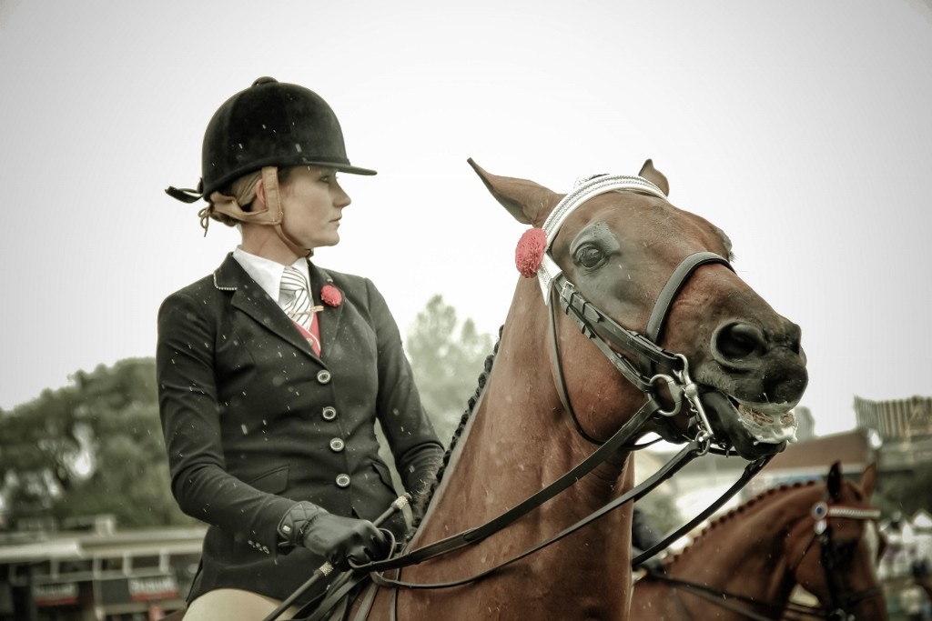 horses perth royal show c1 (1024x683)