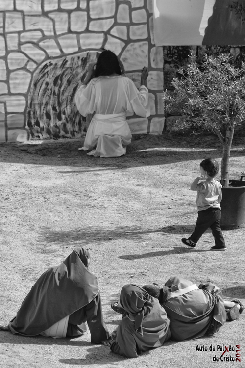 _D704245.JPG