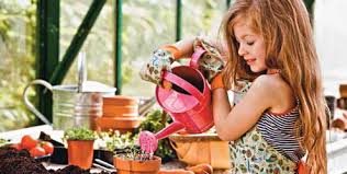 hortaa.jpeg hortaa.jpeg