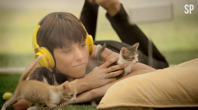 Kitten Therapy Kitten Therapy